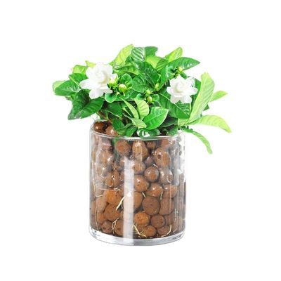 Bolas castanhas leves Jardim Expansão Ceramsite Horticultura LECA Pellets de argila 50L Saco