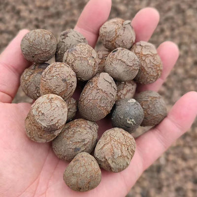 Hidroponia LECA Fabricação de bolas castanhas leves para jardinagem hortícola